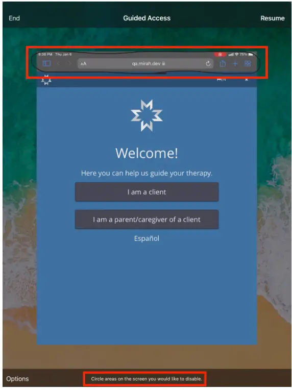 Mirah Collaborative Care Guided Access screen with role selection options