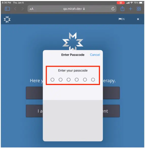 Mirah Collaborative Care iPad passcode entry screen